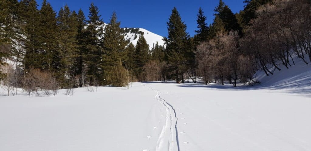 single-set-of-ski-touring-tracks-through-meadow-with-mountain-in-the-background